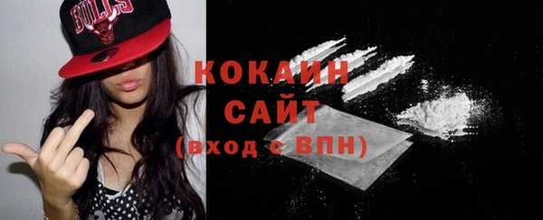 метадон Каменка