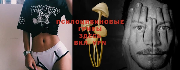 метадон Каменка