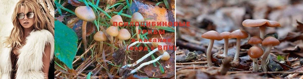 марихуана Каменногорск