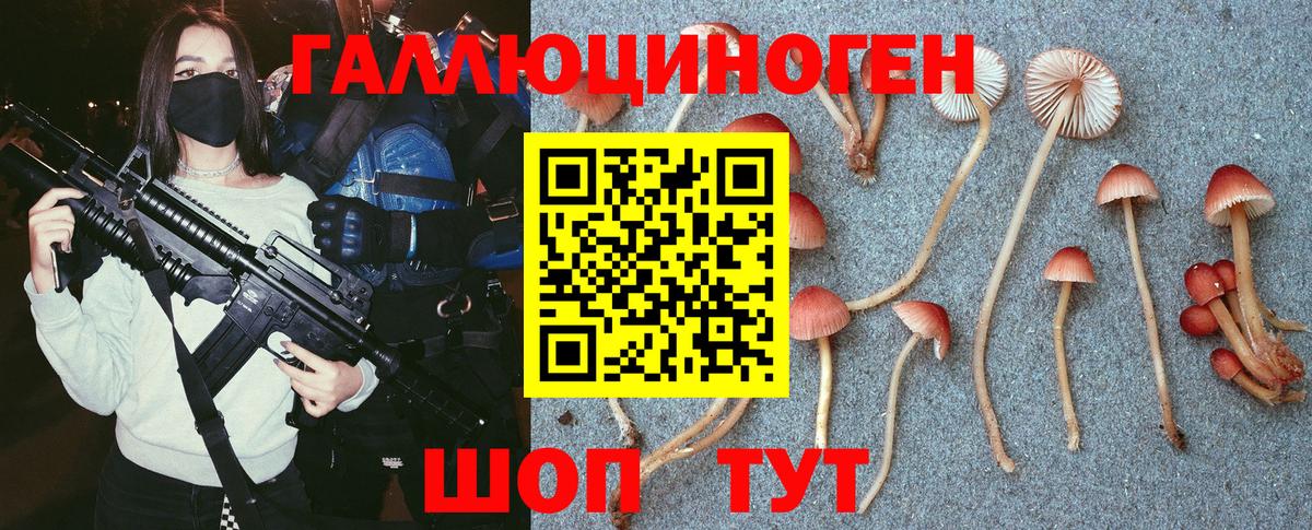 Тюмень  Галлюциногенные грибы мицелий  Вход с VPN  Псилоцибиновые грибы Magic Shrooms 